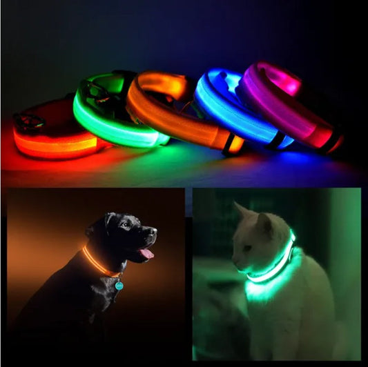 LED Pet Safety Halo Collar | Pet Tech Brand
