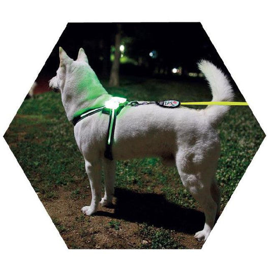 USB Rechargeable LED Pet Collar | Pet Tech Brand