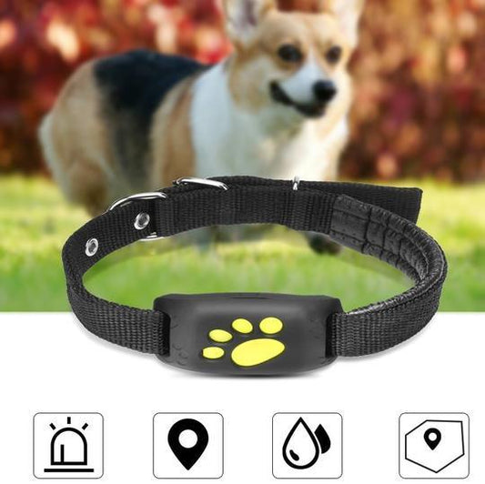 Pet TrackMaster – Premium GPS Pet Tracker | Pet Tech Brand