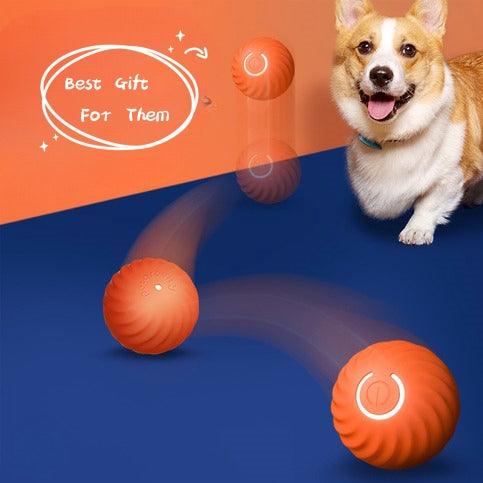 Smart Roll Pet Interactive Ball | Pet Tech Brand